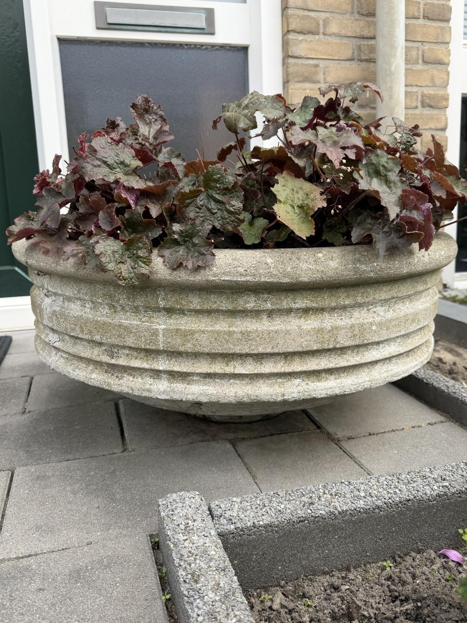 Vintage plantenschaal beton Ø 70cm