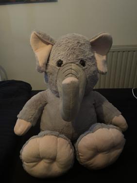 Nieuwe knuffel olifant