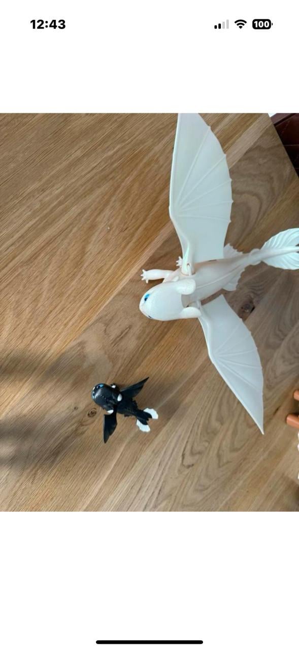 Light Fury en Night Lights - Hoe tem je een draak