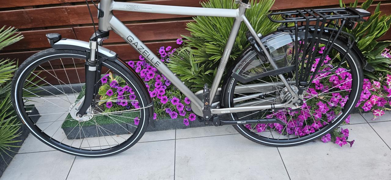 Gazelle Paris C7+ Herenfiets