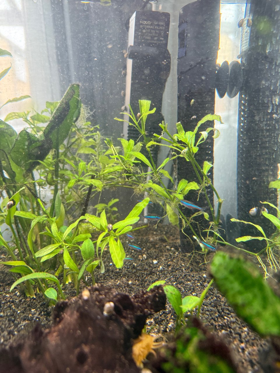 Aquarium