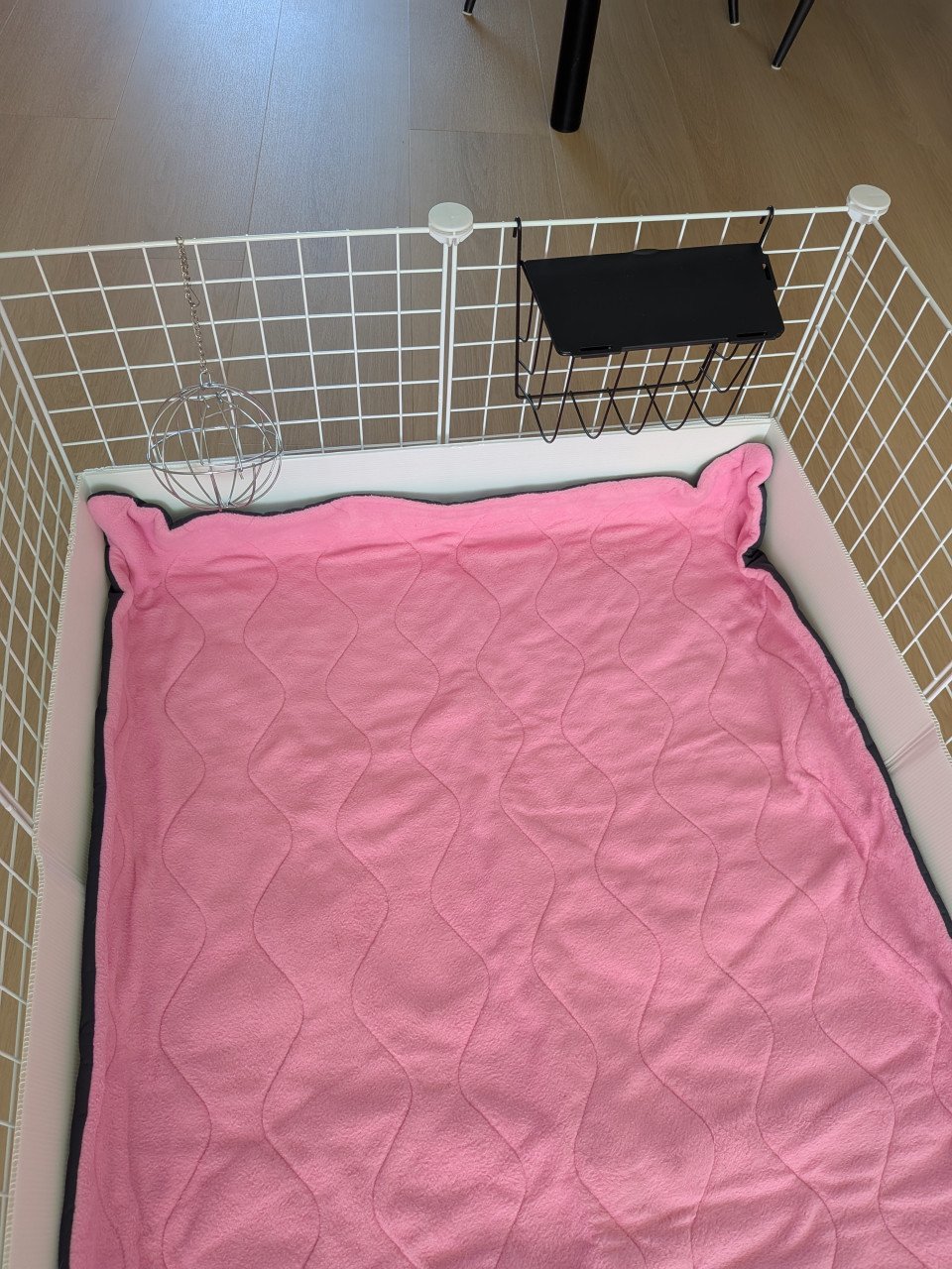 Cavia / Konijn benodigdheden
