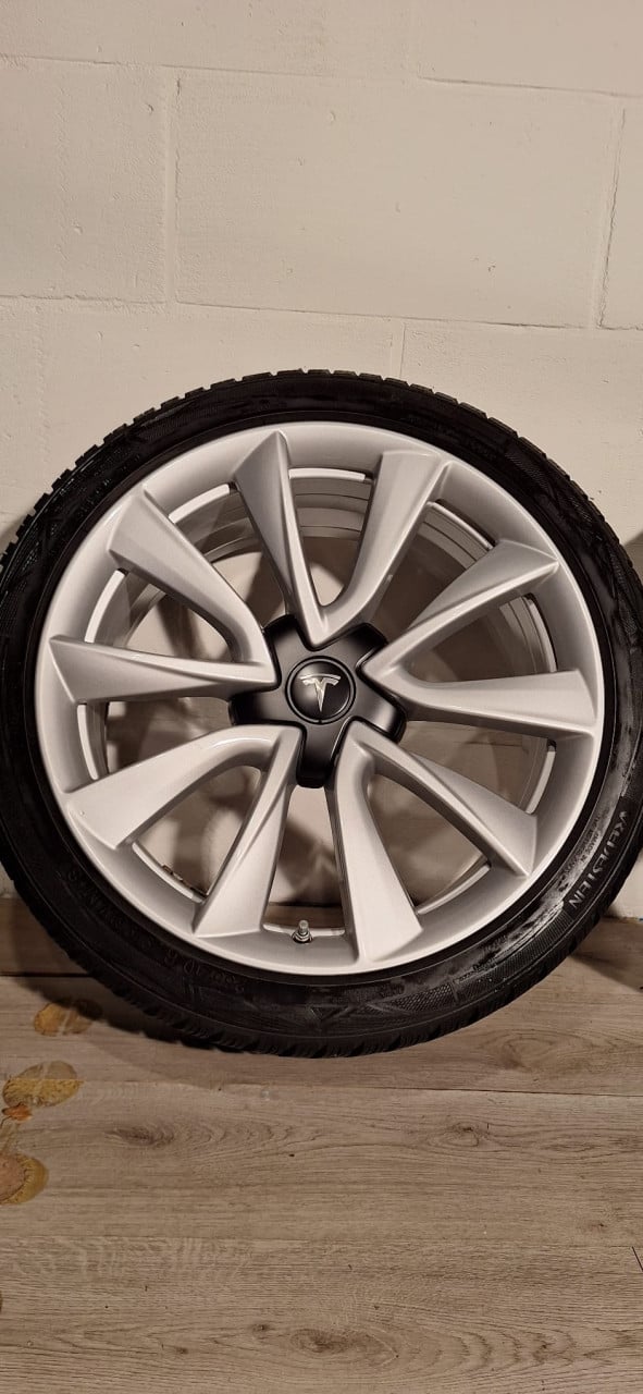 19'' Originele Performance Tesla Model 3 velgen + banden