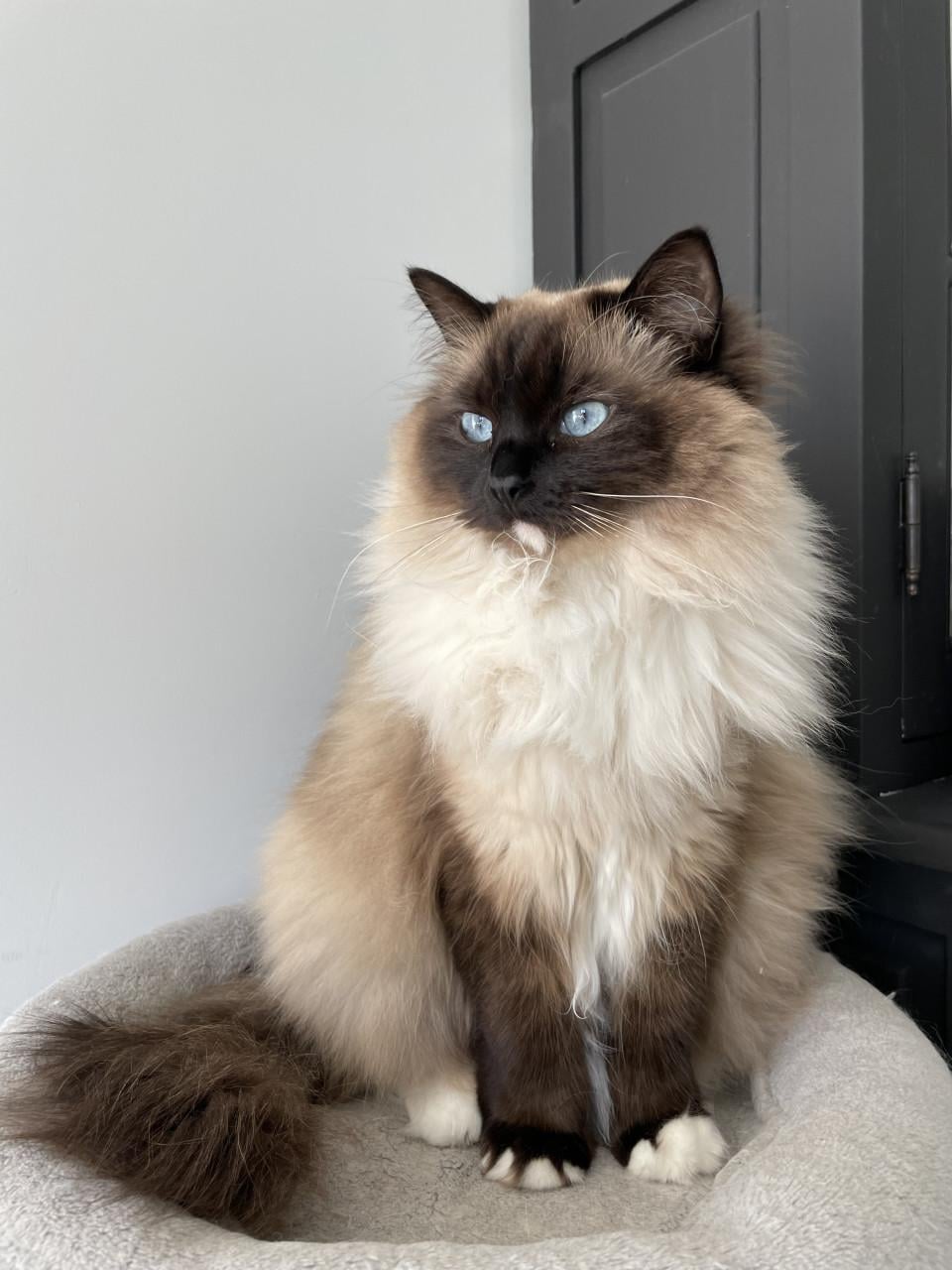 Ted en Nova zijn op zoek naar personeel