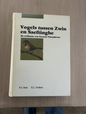 Vogels tussen saefthinge het zwin