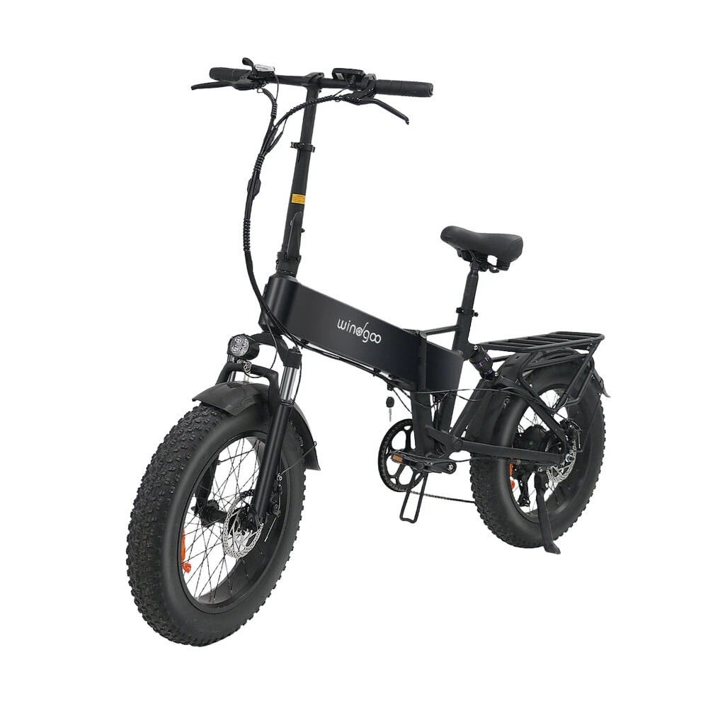 Diverse Demo  Fatbikes