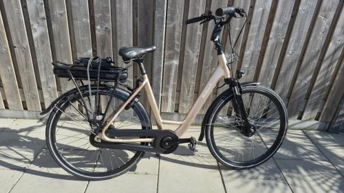 Stella Livorno Superior