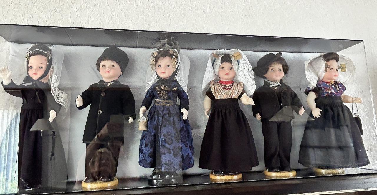 COLLECTIE BOERENPOPPEN
