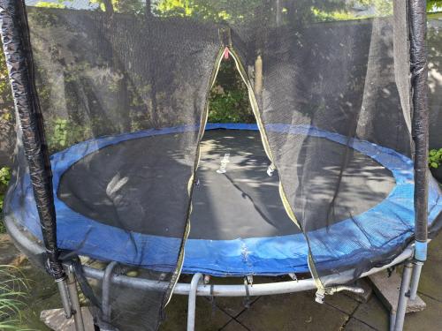 Trampoline,  doorsnede 300cm