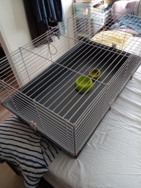 Konijn / Cavia kooi 100 cm x 60 cm