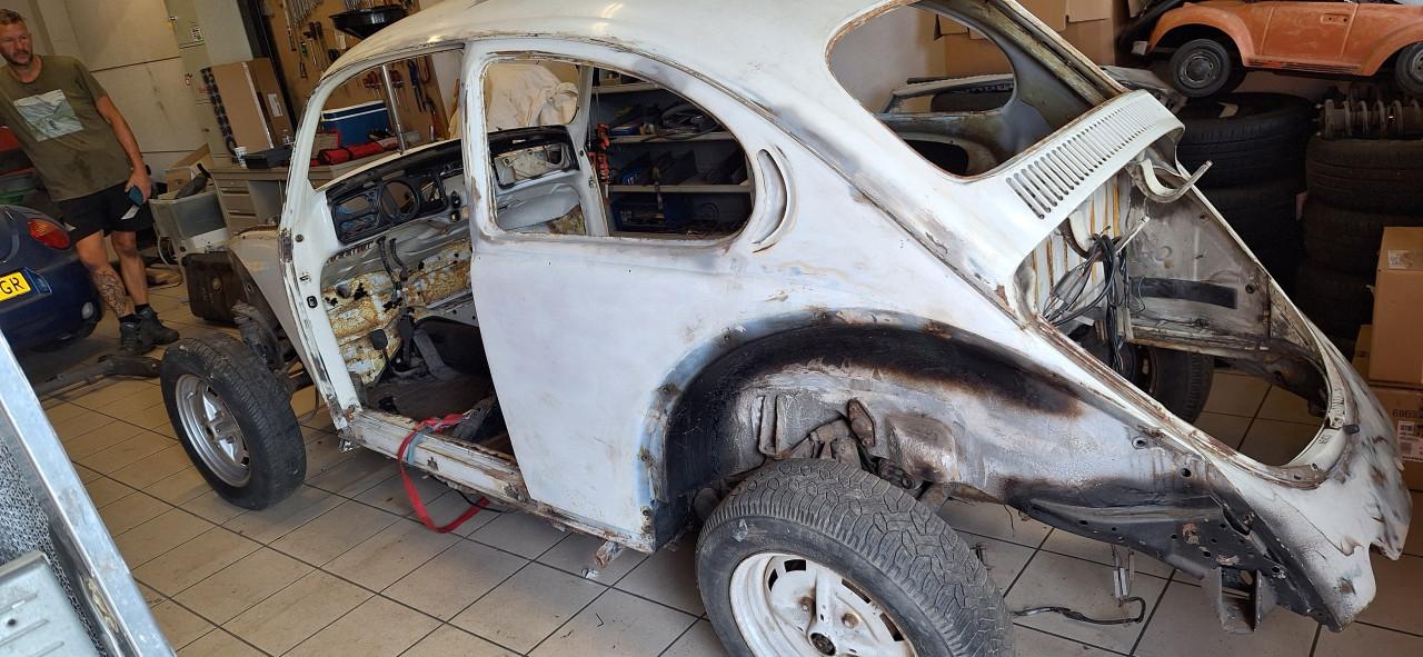 VW Kever