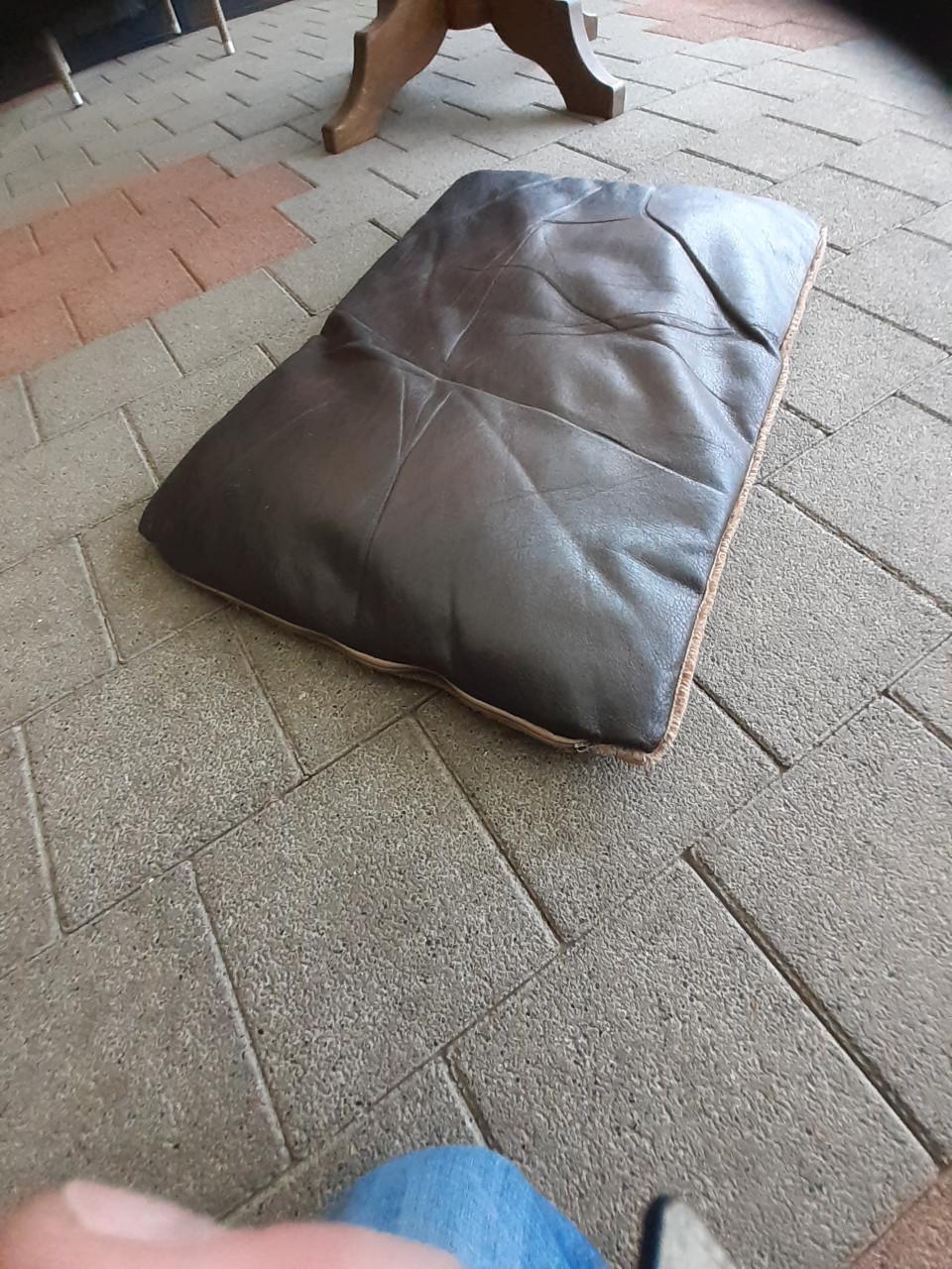 Grote hondenmand plus kussen