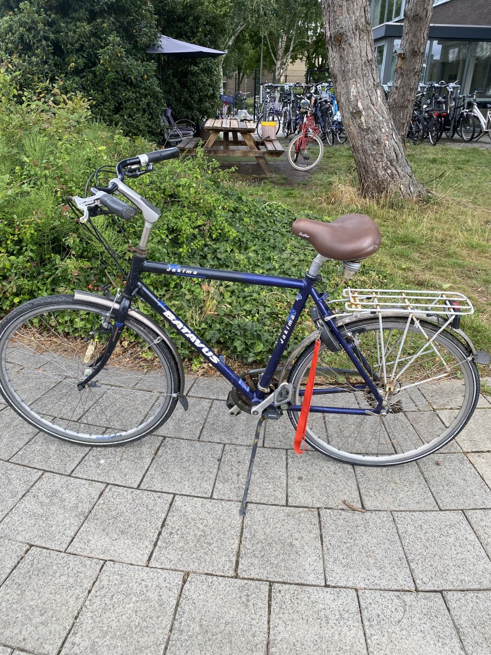 Fietsen Batavus Jakima