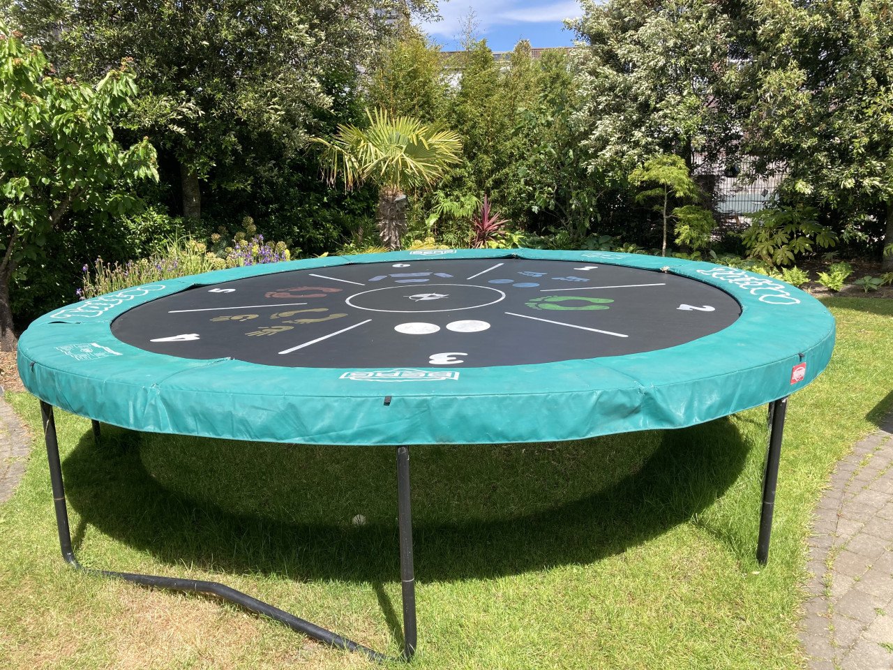 Trampoline BERG 430