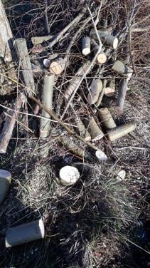 Haardhout. (Wilgenhout)