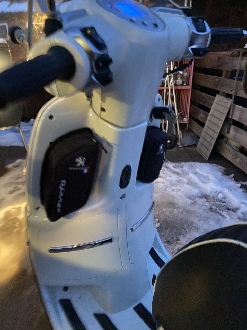 Mooie Peugeot Django