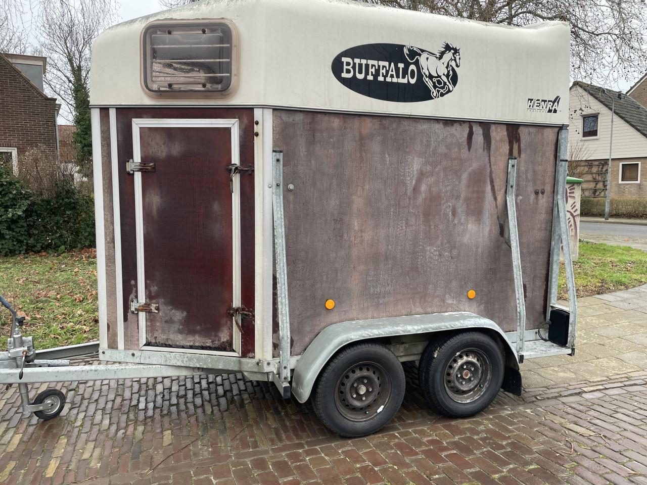 1,5 paardstrailer