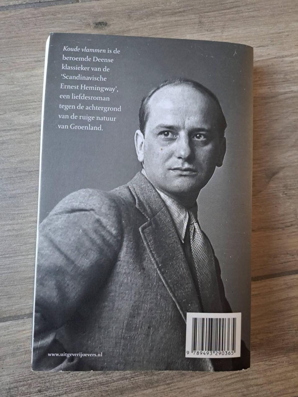 Roman Koude vlammen van Knud Sonderby
