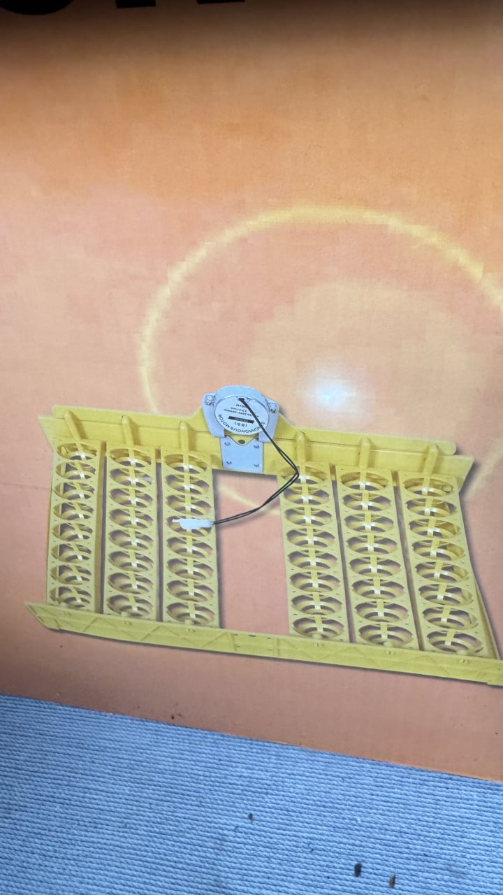 Kuikenbroedmachine