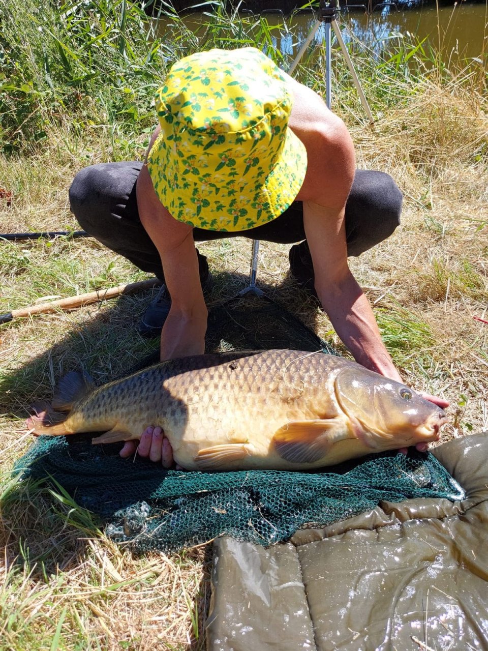 Grotekarpers vangen in de polder bij Karpervisserij Koudekerke € 17,50