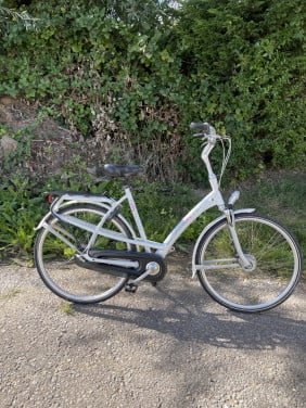 Tekoop Batavus mambo