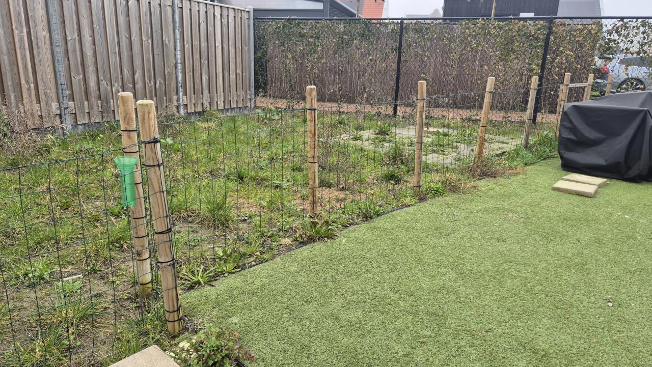 Gaashekwerk met houten paaltjes