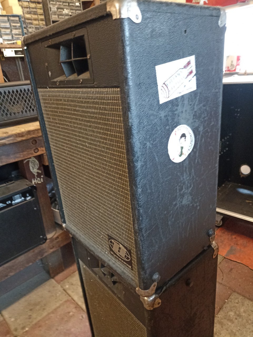 Dynacord D310 speakers