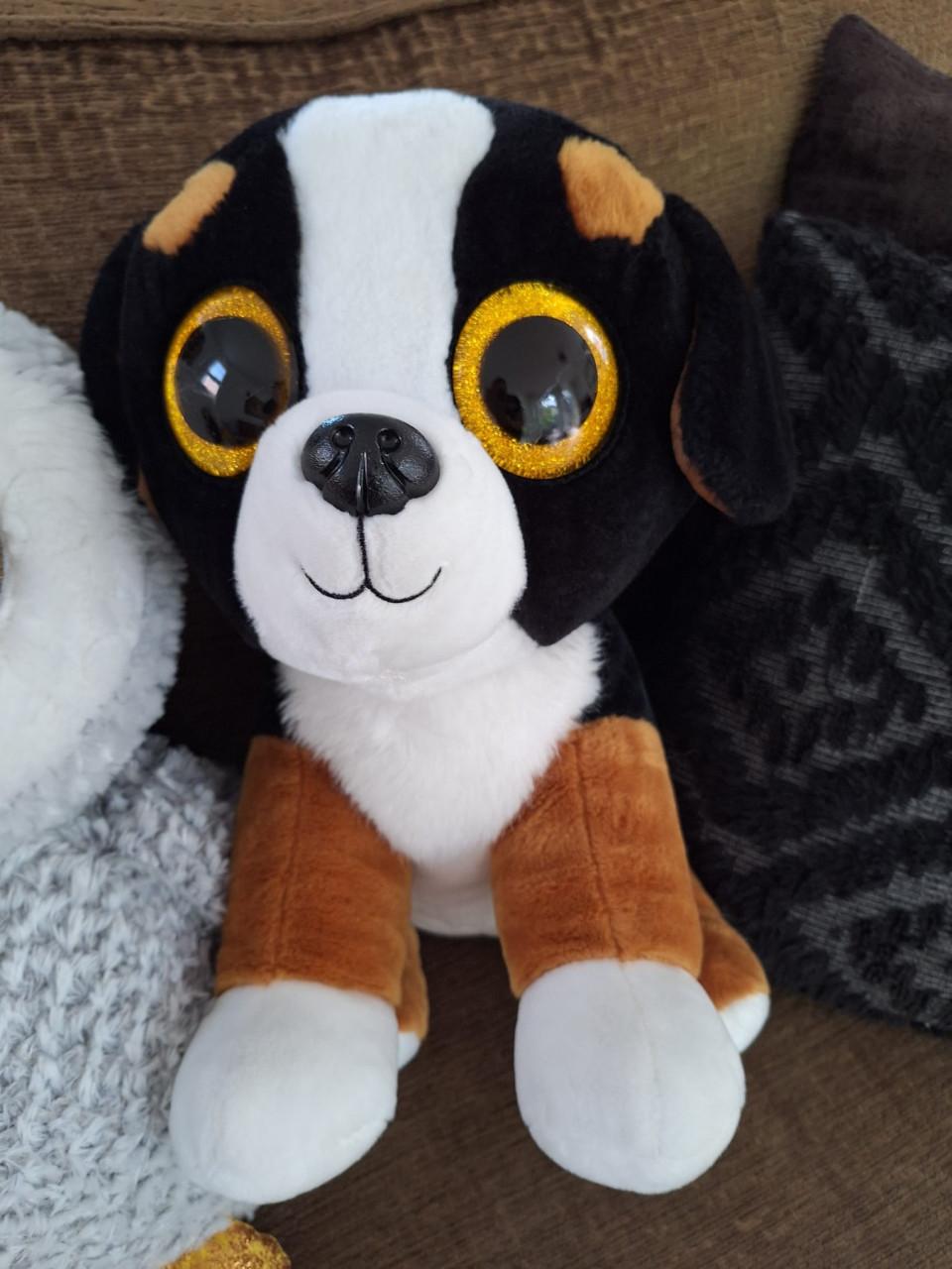 Grote Ty knuffels (3x)
