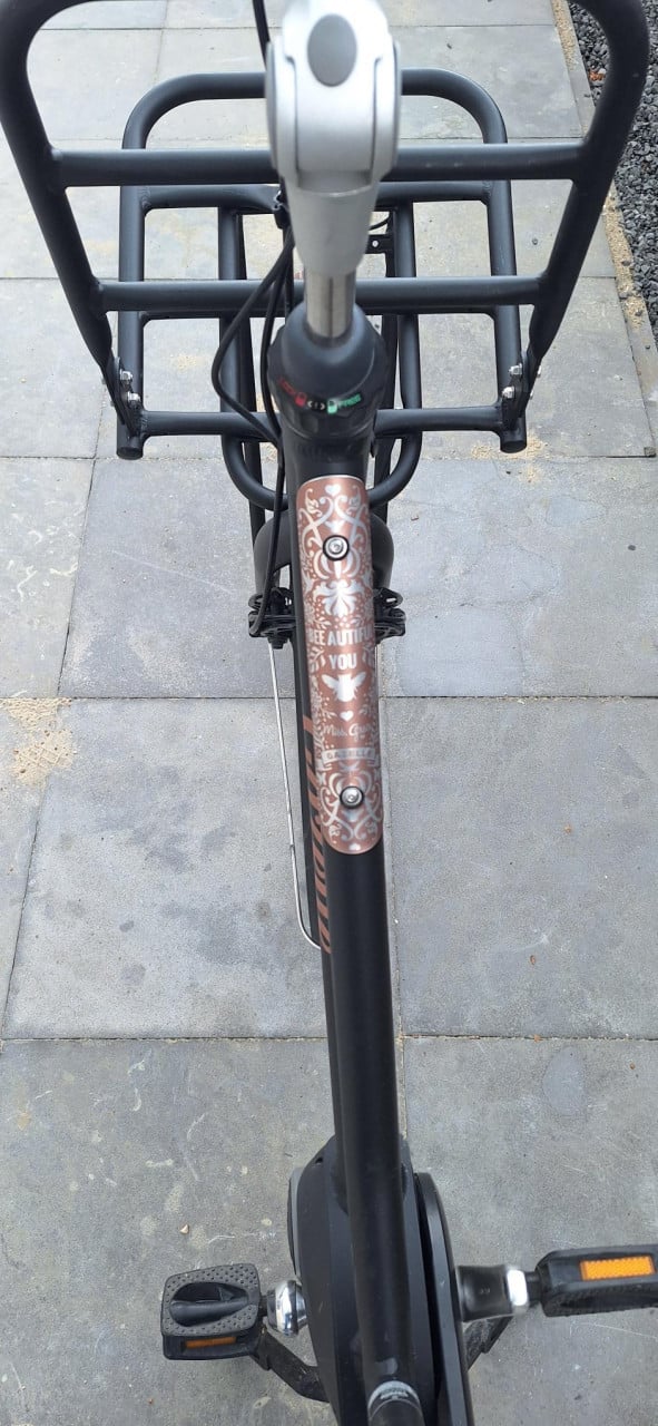 Electrische dames fiets