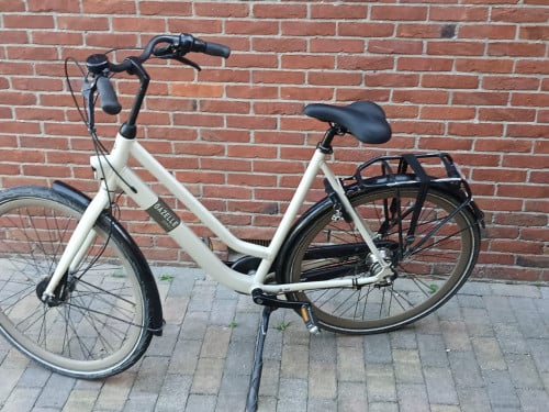 Gazelle esprit