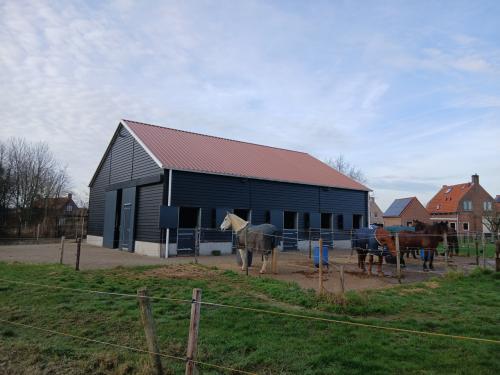 Paardenstalling, weidegang, complete verzorging