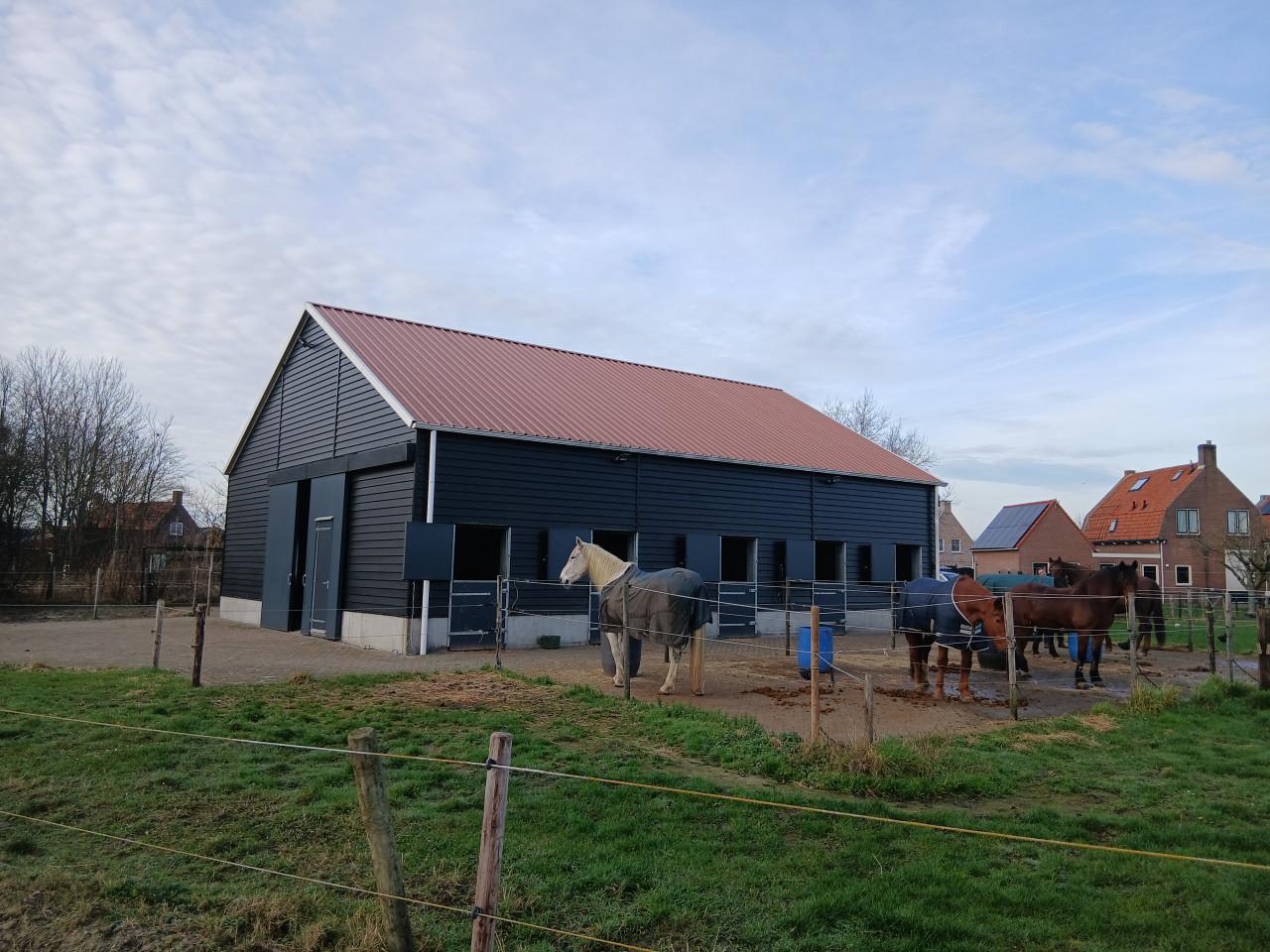 Paardenstalling, weidegang, complete verzorging