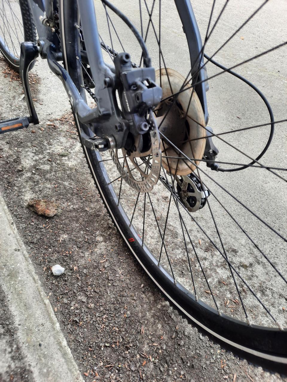 Maintenbike Bulls