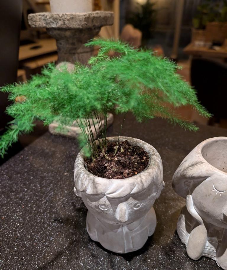 Set van twee mini bloempotjes