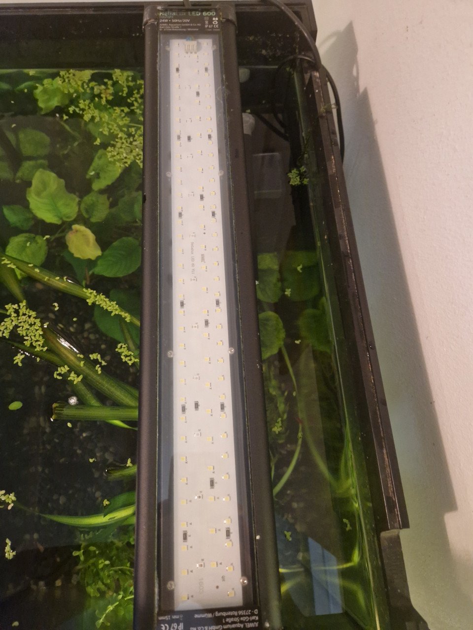 Aquarium lido 120 compleet