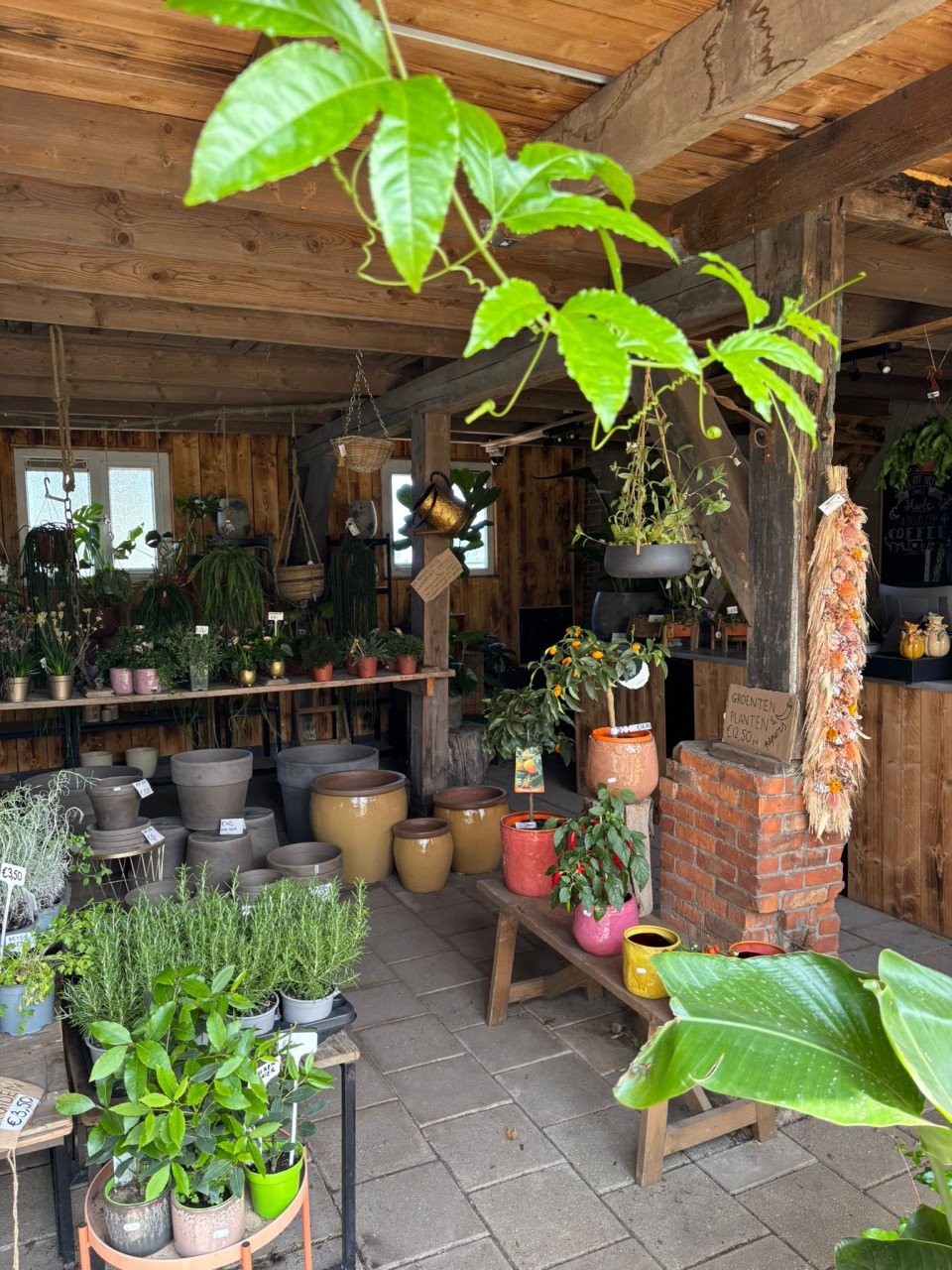 30% korting op alle planten, bomen en potten!