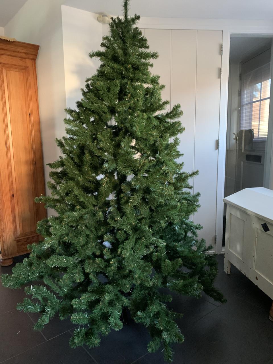 Kerstboom 2.10 m hoog Triumph Tree Intratuin