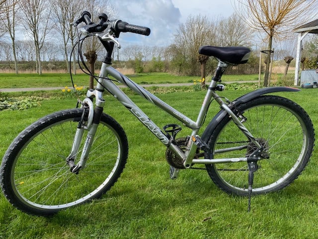 Giant Mountain bike