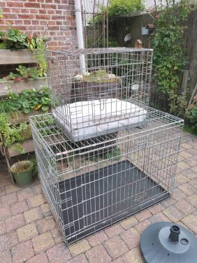 Gratis honden bench