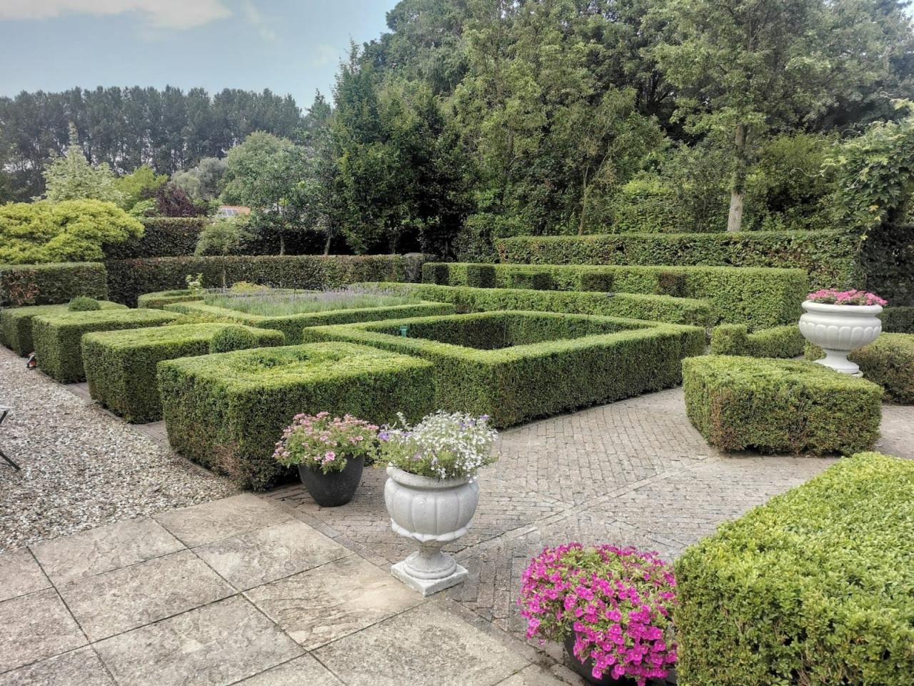 Zoekt u een betrouwbare Hovenier ?