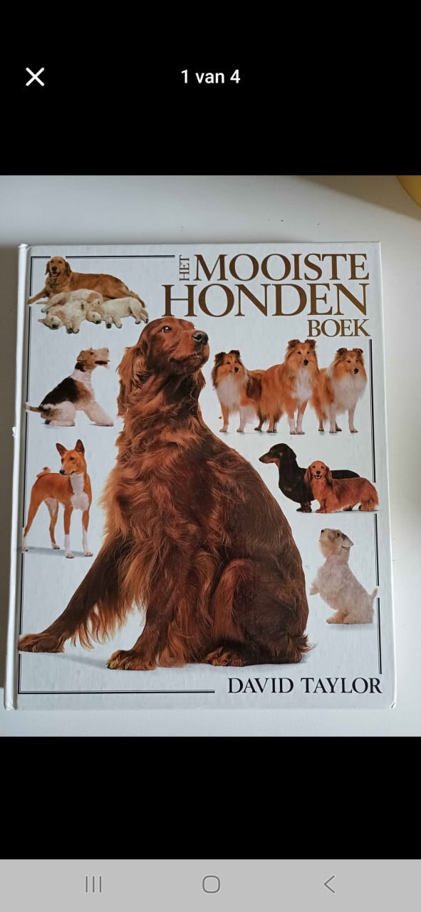 Het mooiste hondenboek