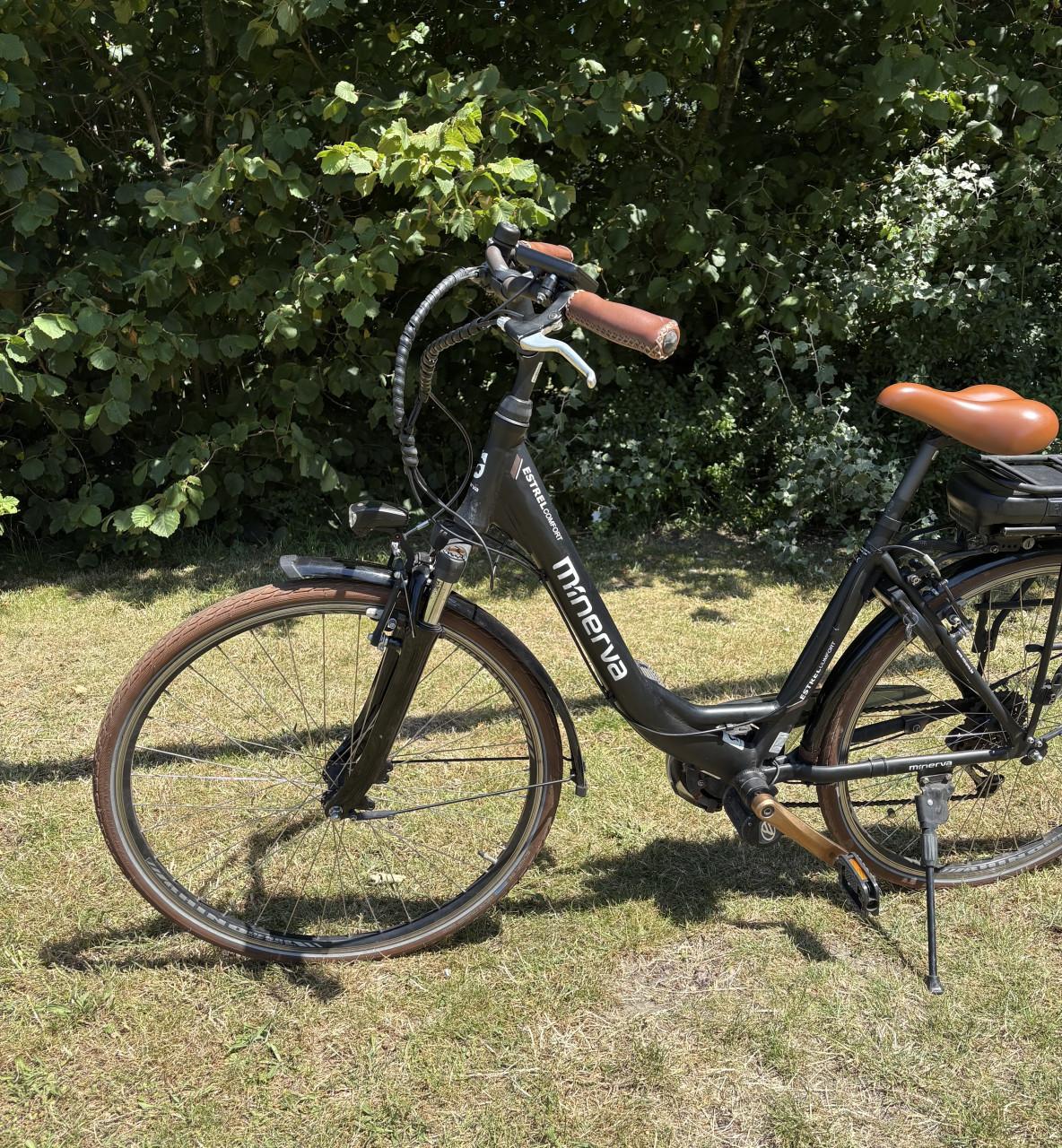 Minerva Estrel Comfort elektrische fiets – 9 Versnellingen – 5071 km