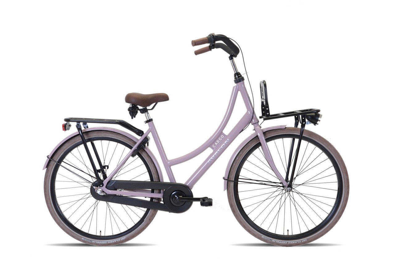 Nieuwe Avalon 2025 Cargo Damesfiets 50cm Remnaaf 3 versnellingen