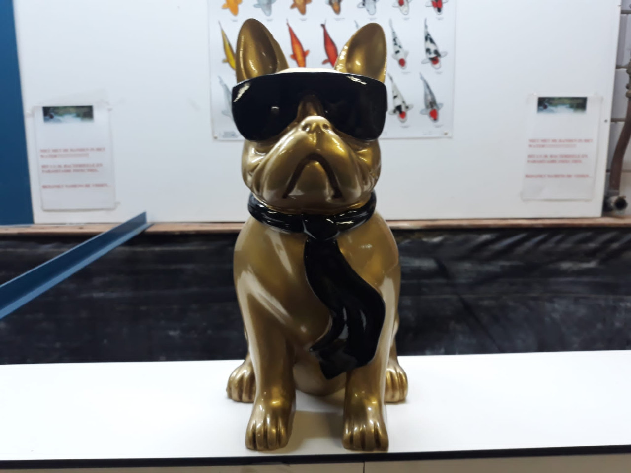 Gouden bulldog met zwarte zonnebril