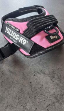 NIEUW tuigje julius-K9