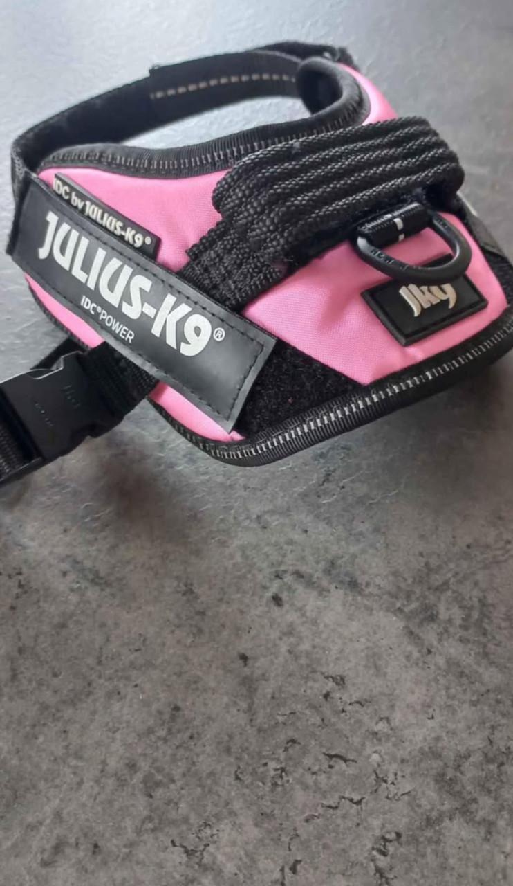 NIEUW tuigje julius-K9