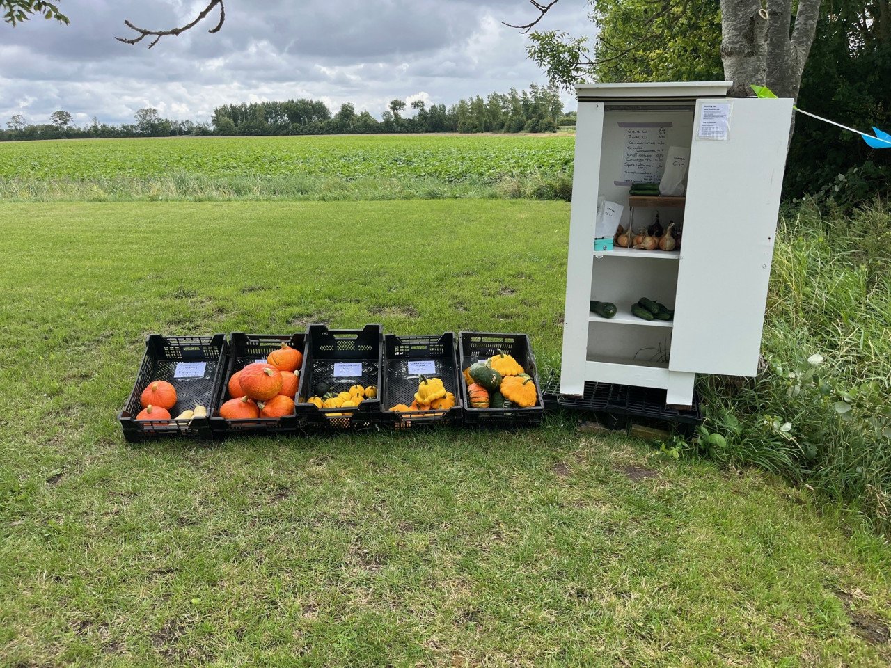 Pompoenen en kalebassen
