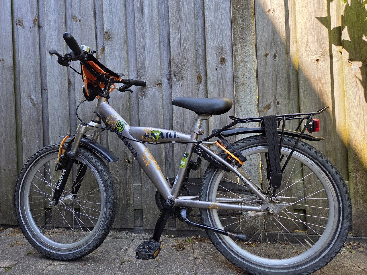 Batavus Snake 20 inch