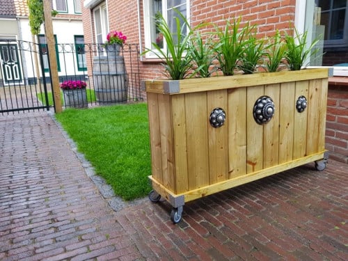 Zeeuwse knop bloembakken