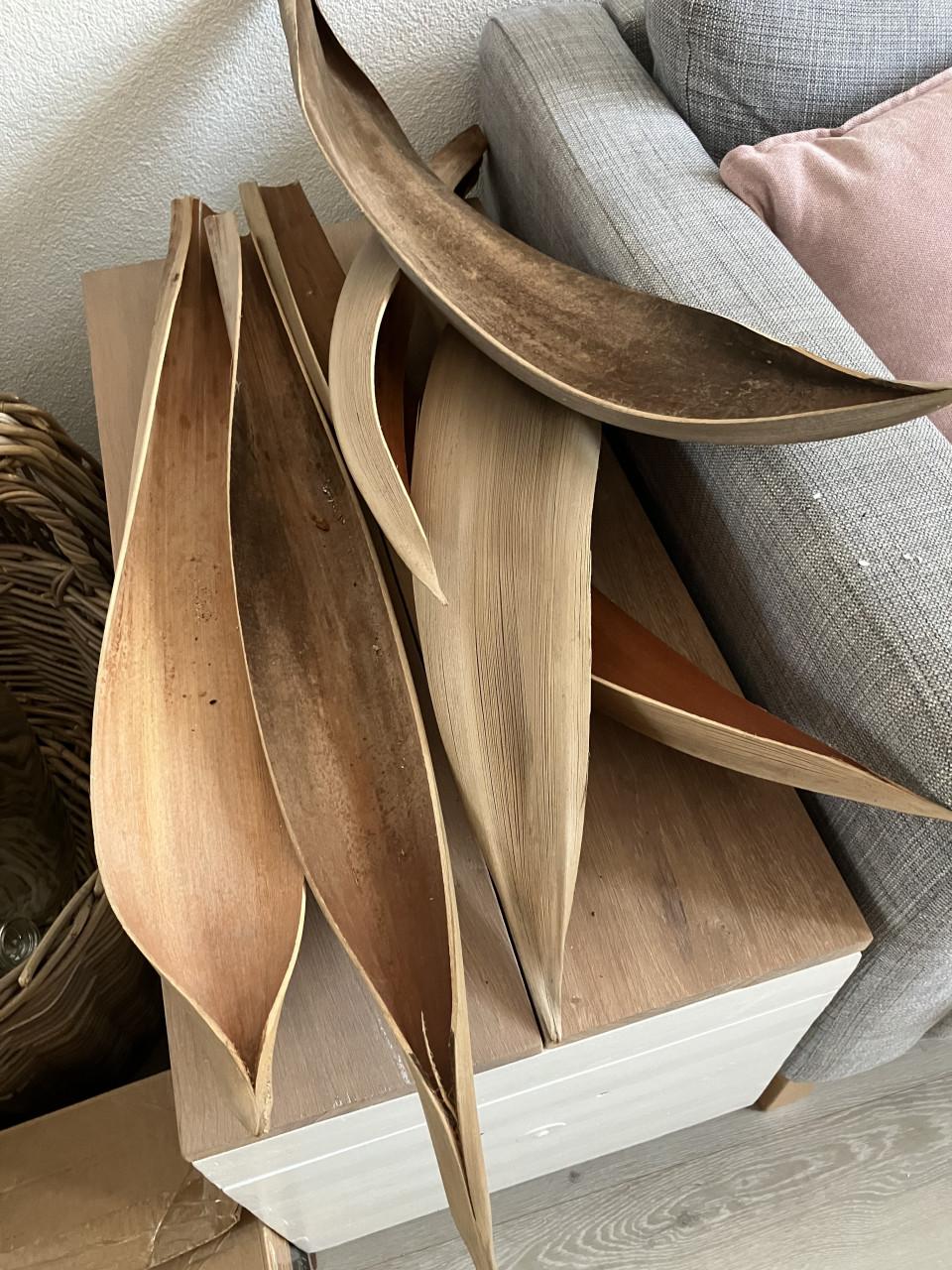 Coco boat naturel